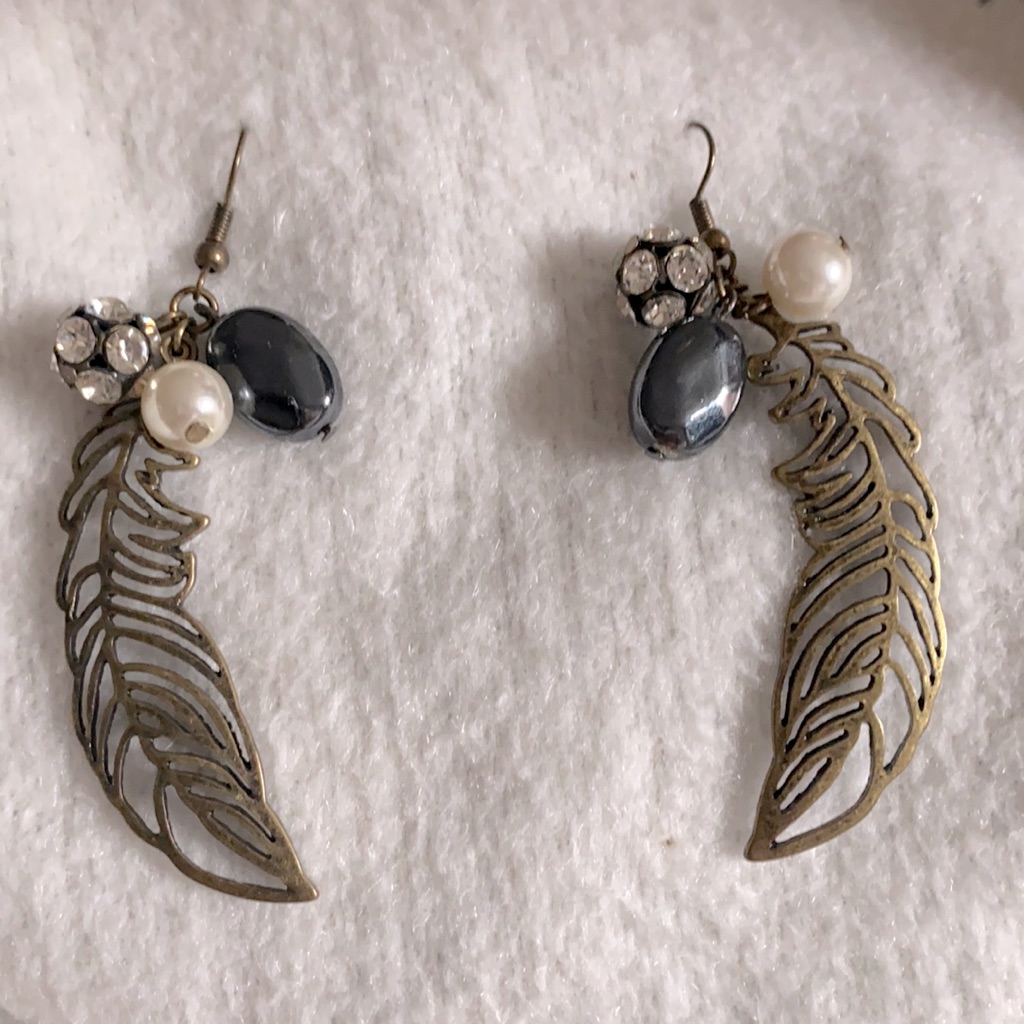 Earrings 10$